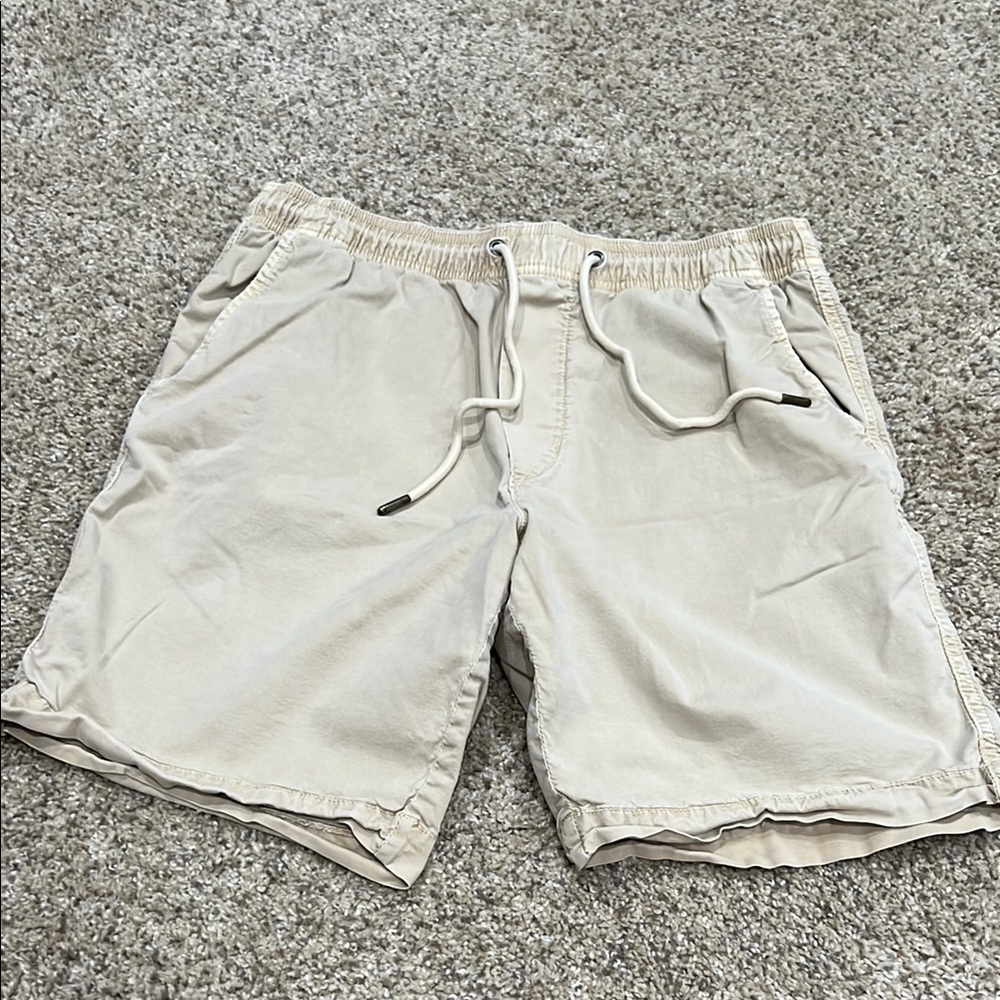 American Eagle Men’s Shorts